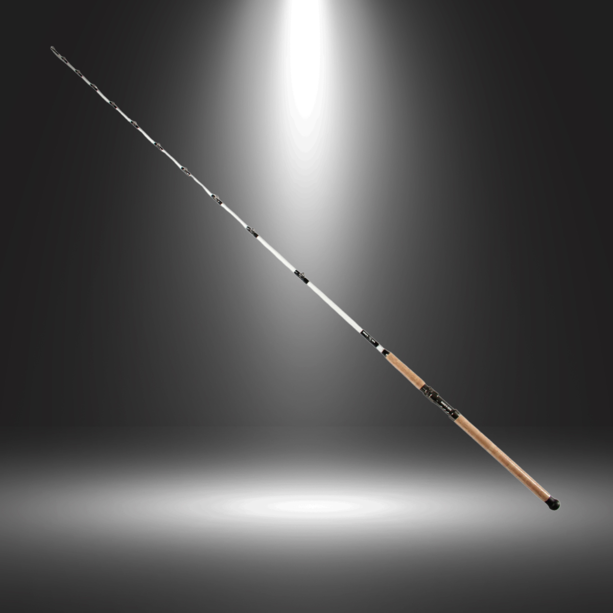 Chase'N Cats Cork Handle Casting Rod
